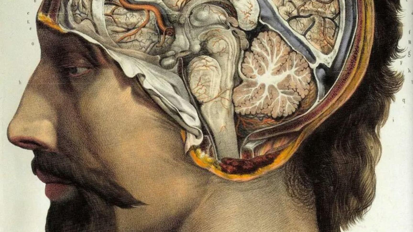 Cover image for Neuroscience and the Soul