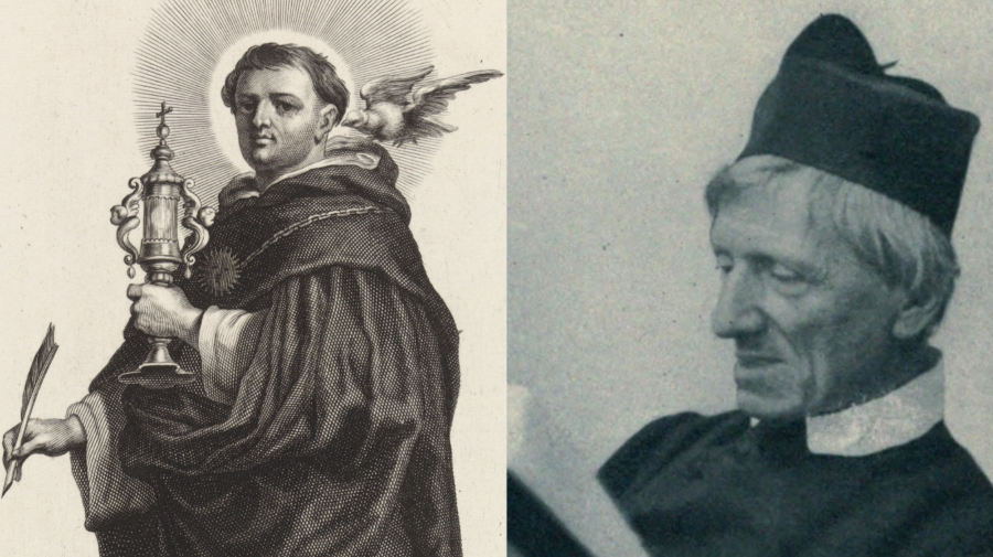 Cover image for Aquinas and Newman on the Pursuit of Wisdom and Happiness