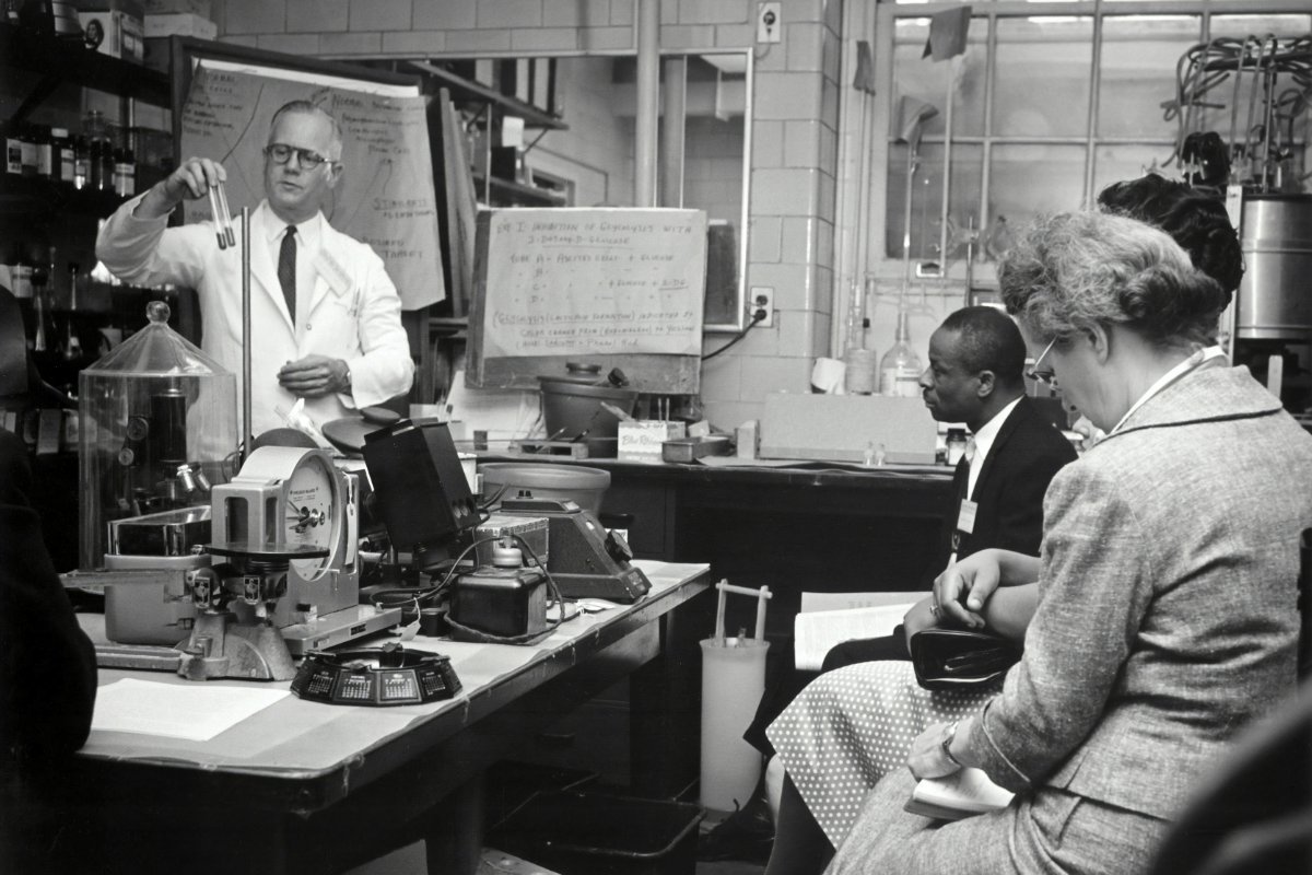 Cover image for Gene Editing and the Human Future