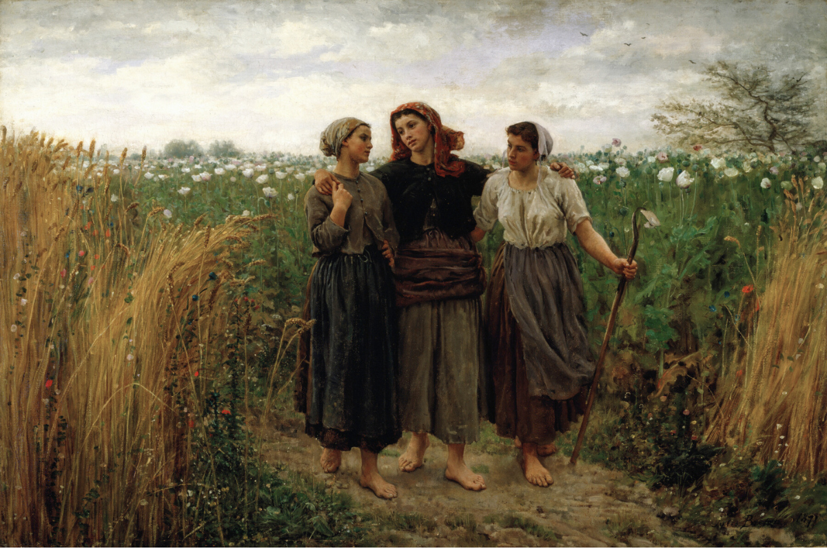 Cover image for How to Be Happy, Even in College: Study, Leisure, Communion