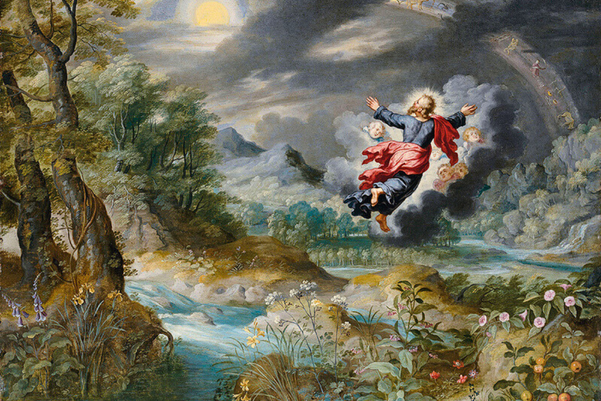 Cover image for Seeds of Life: Creation, Evolution, and St. Augustine