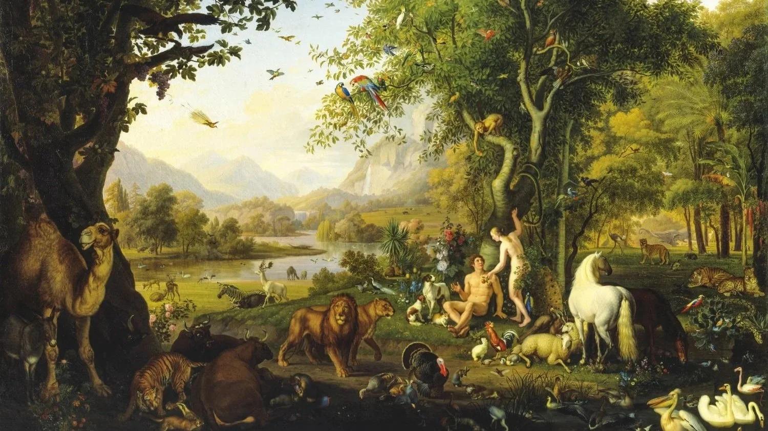 Cover image for Creation and Cosmology