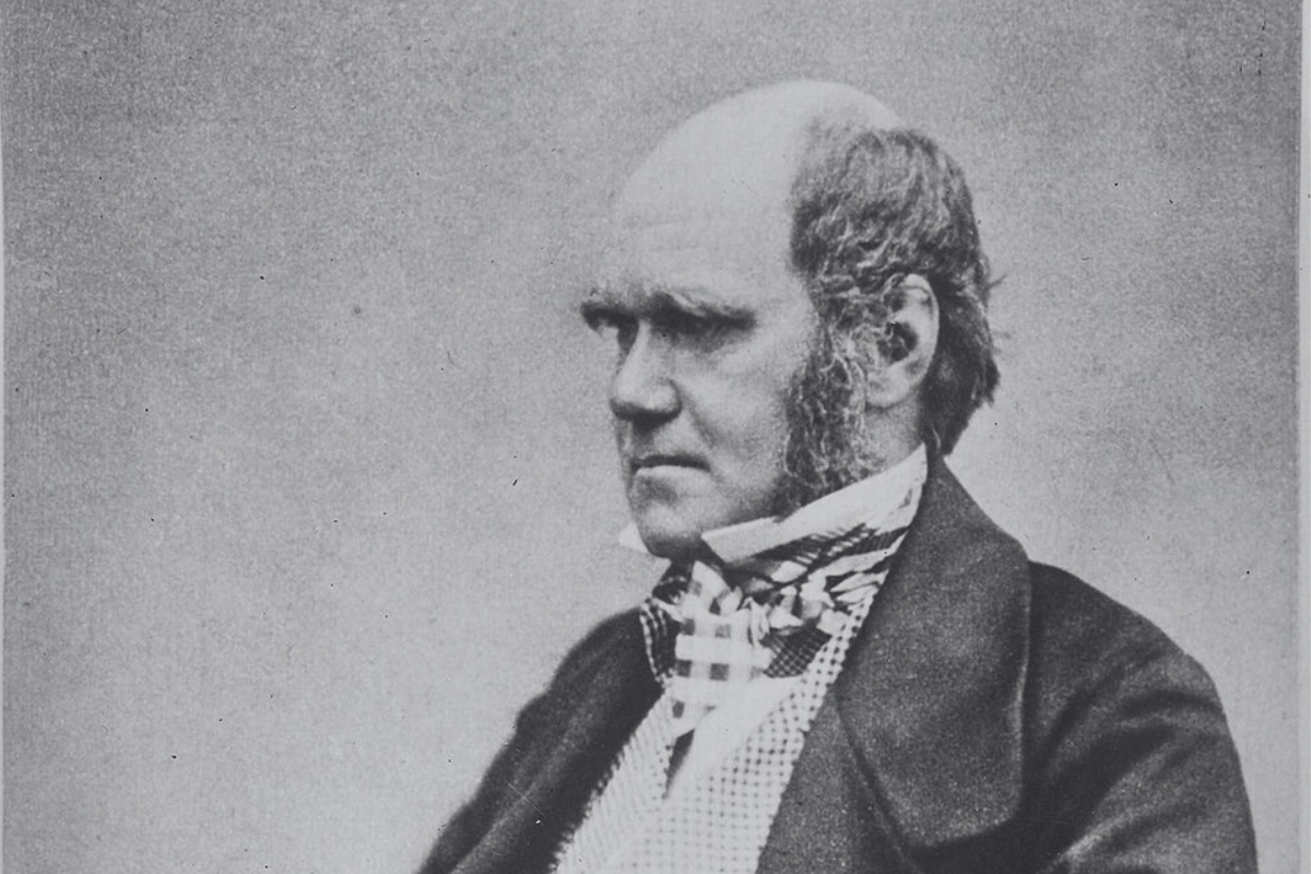 Cover image for Aquinas’s Shortest Way to God’s Existence, and How Darwinism Fits Within It