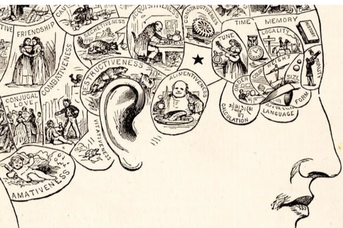 Cover image for What Does It Mean to Be Human? Neuroscience, Psychology, & Personhood