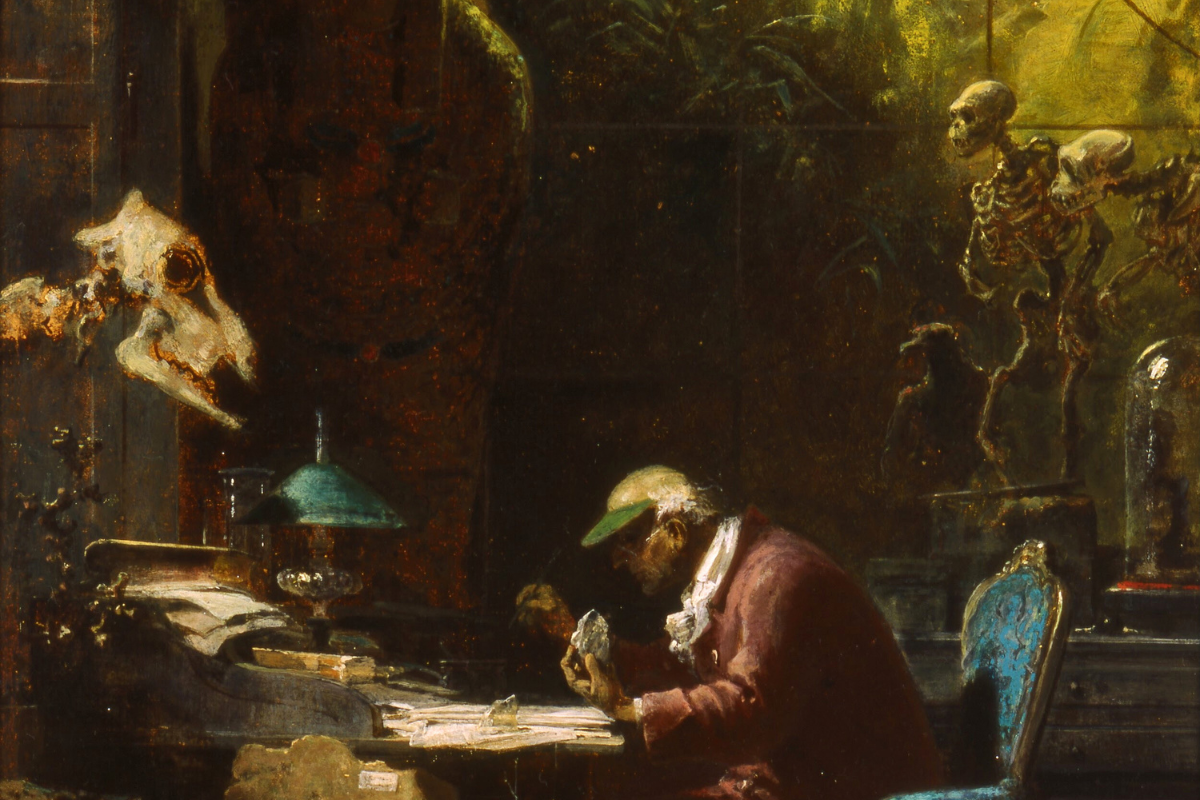 Cover image for Theistic Evolution: A Contemporary Thomistic Perspective