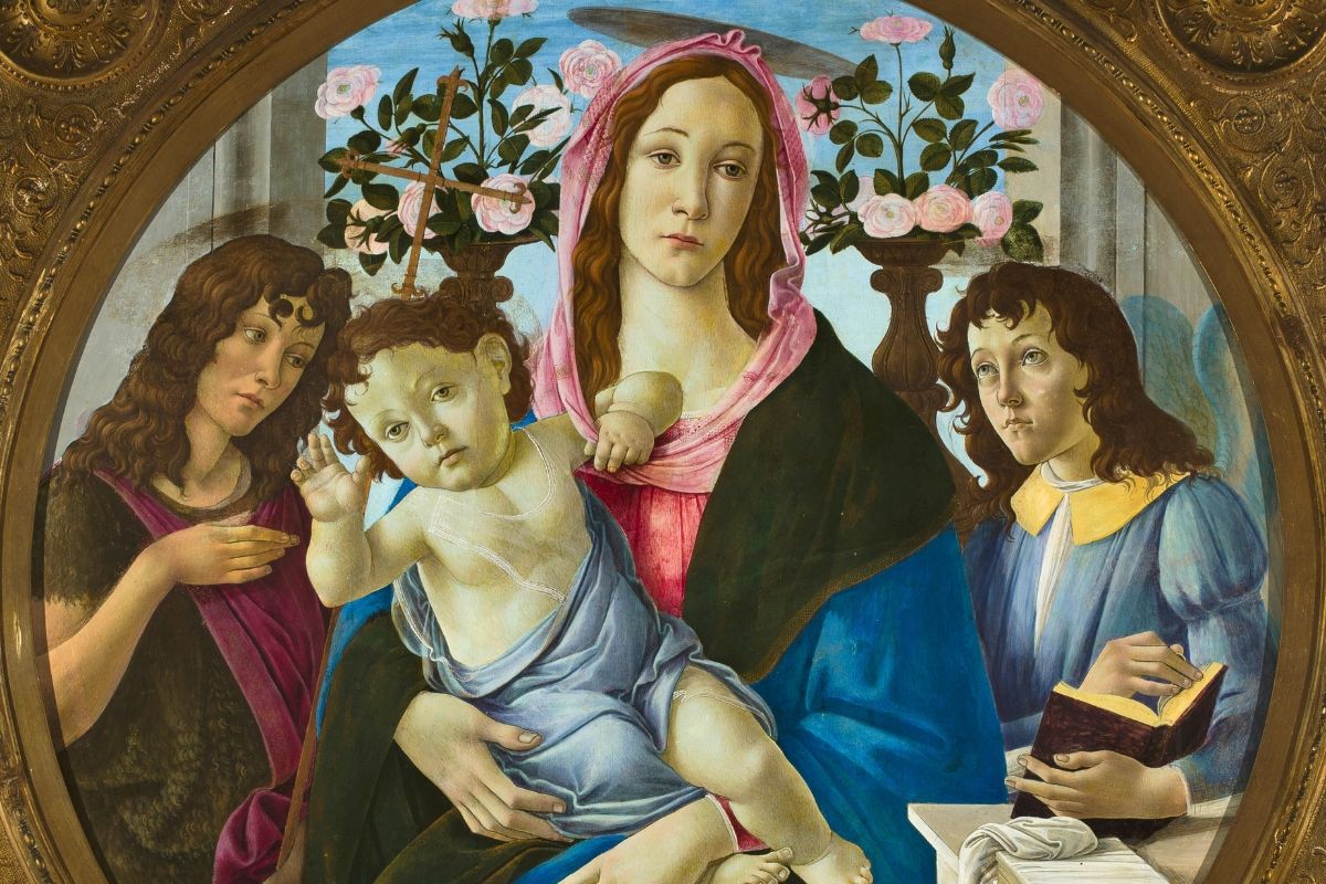 Cover image for The War on Beauty