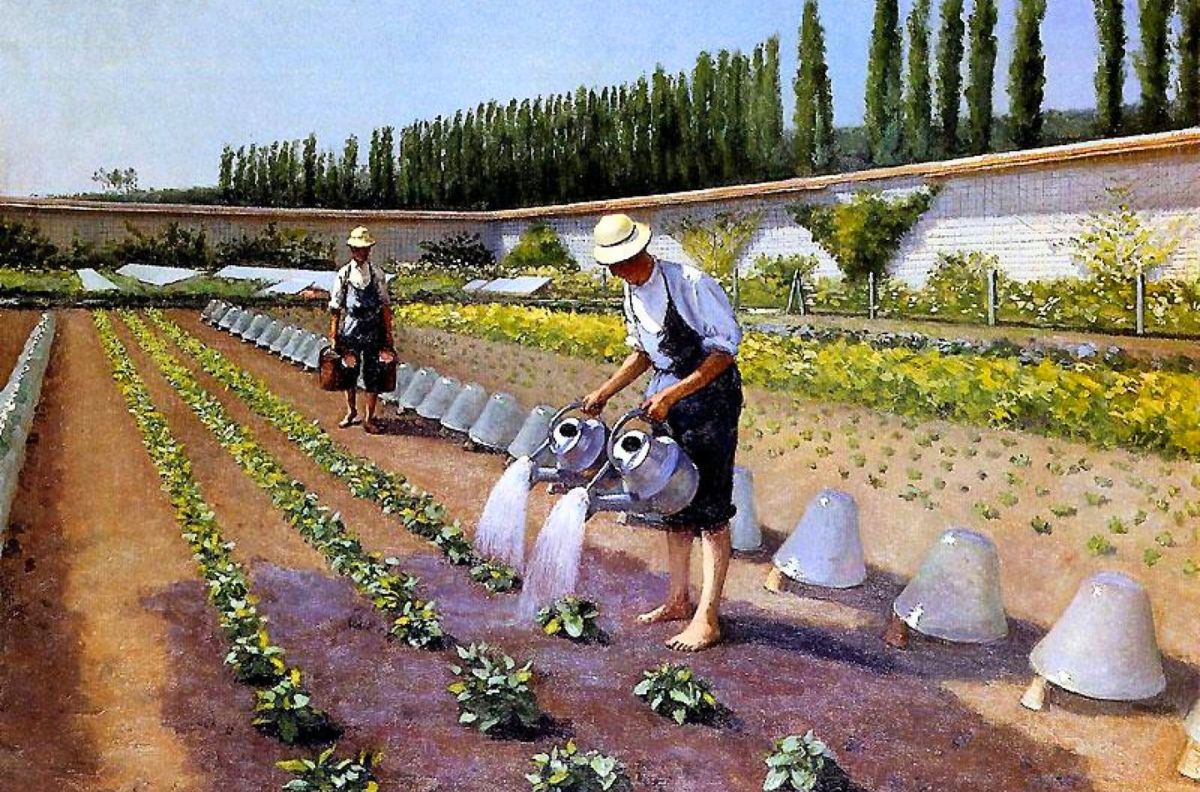 Cover image for Masters, Parasites, or Gardeners? Thomistic Reflections on Environmental Ethics