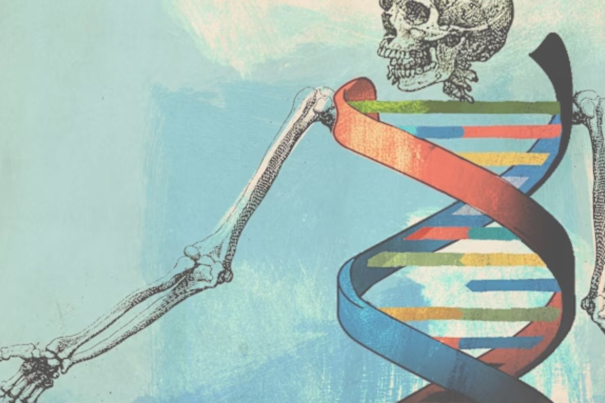 Cover image for Gene Editing and the Human Future