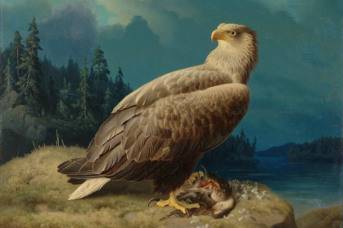 Cover image for On Evolution and Faith