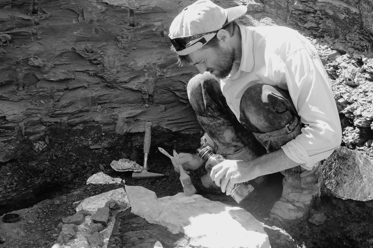 Cover image for Evolution and the Soul