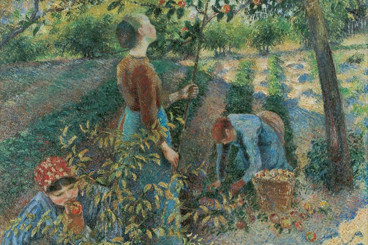 Cover image for The Question of Free Will in the Modern World: A Catholic View of Freewill in Light of Contemporary Philosophy and Science