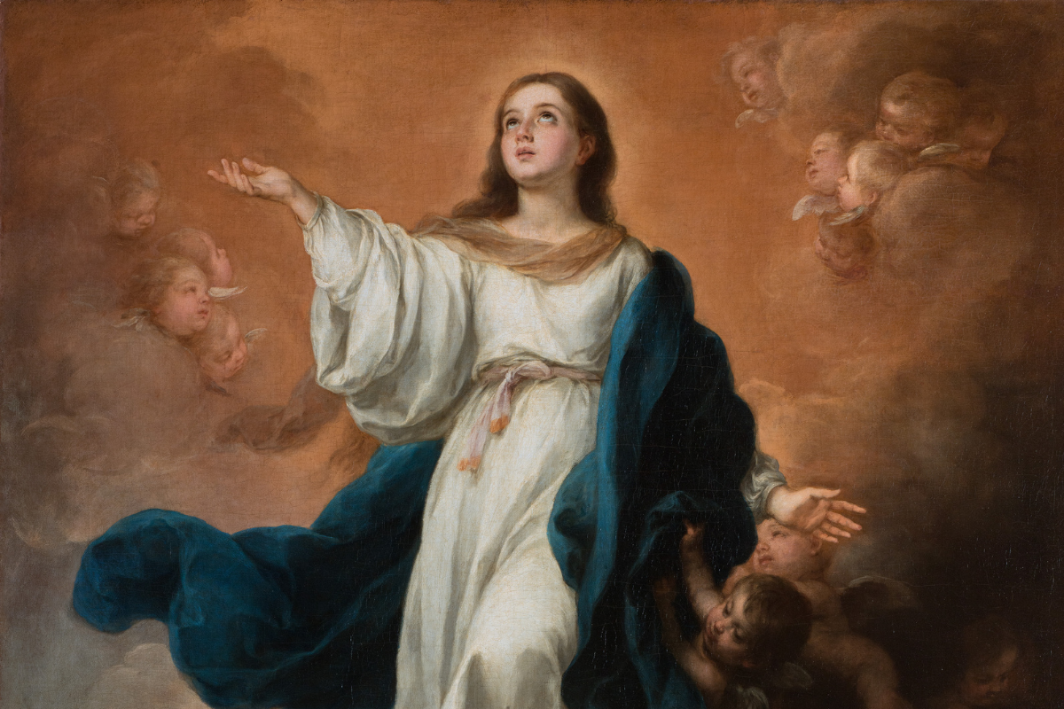 Cover image for The Mystery of Predestination: A Catholic Approach