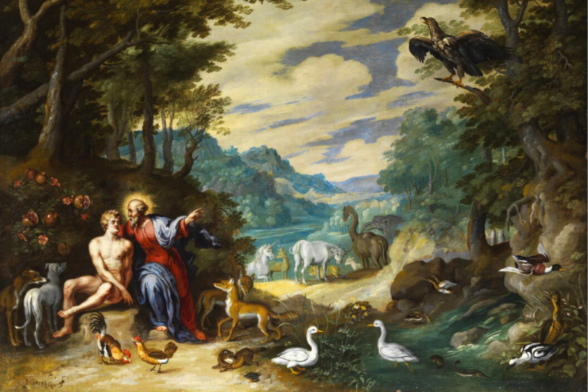 Cover image for The Error of Beginnings and the Beginning of Errors: Creation and the Origin of the Universe