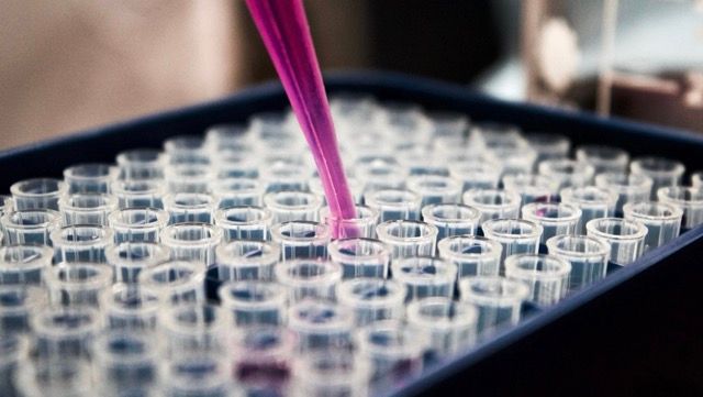 Cover image for  The Science and Ethics of CRISPR