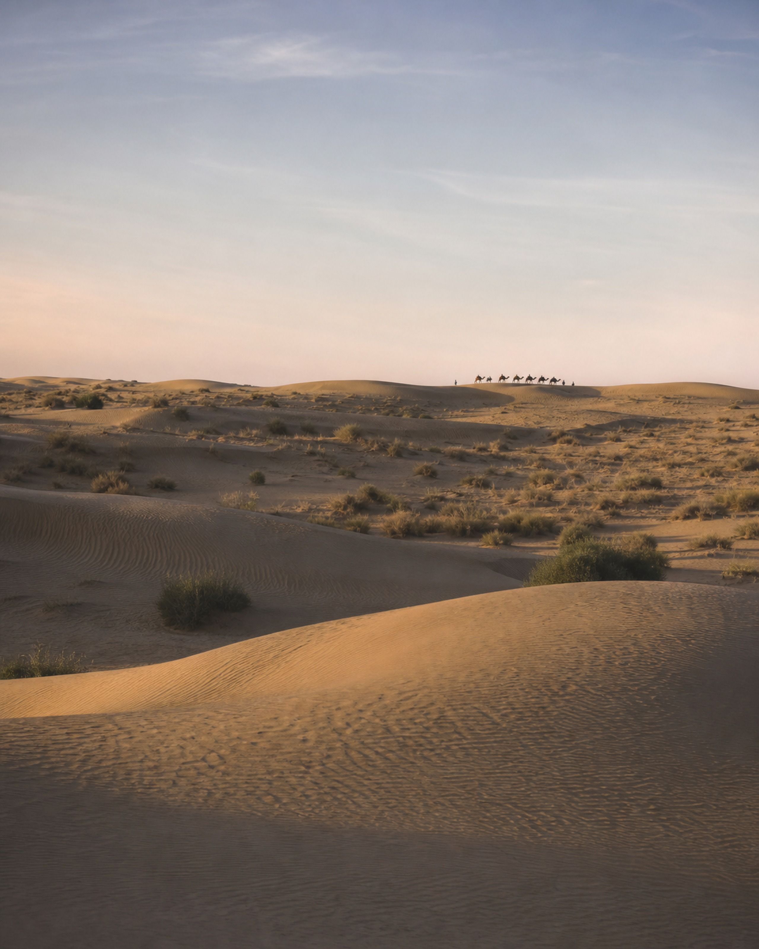 Wind-shaped dunes in the Thar Desert near Jaisalmer