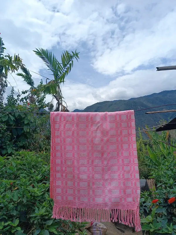 Asociación Agropecuaria y Artesanal Virgen de Natividad - Imagen 16