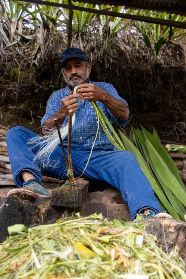 Asociación de artesanía “La Flor del Maguey” - Imagen 12