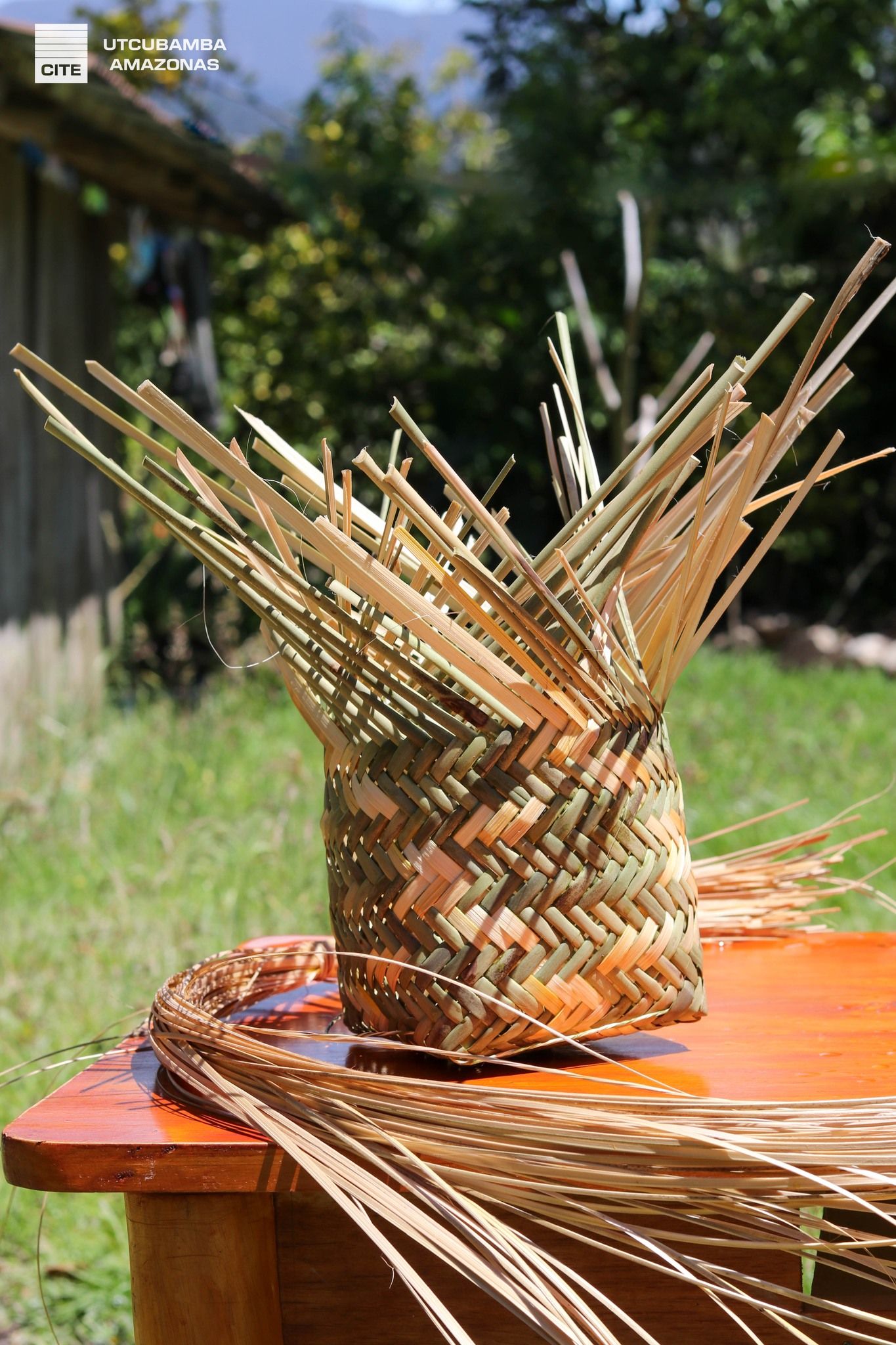 Pablo Chávez Cruz - Imagen 7