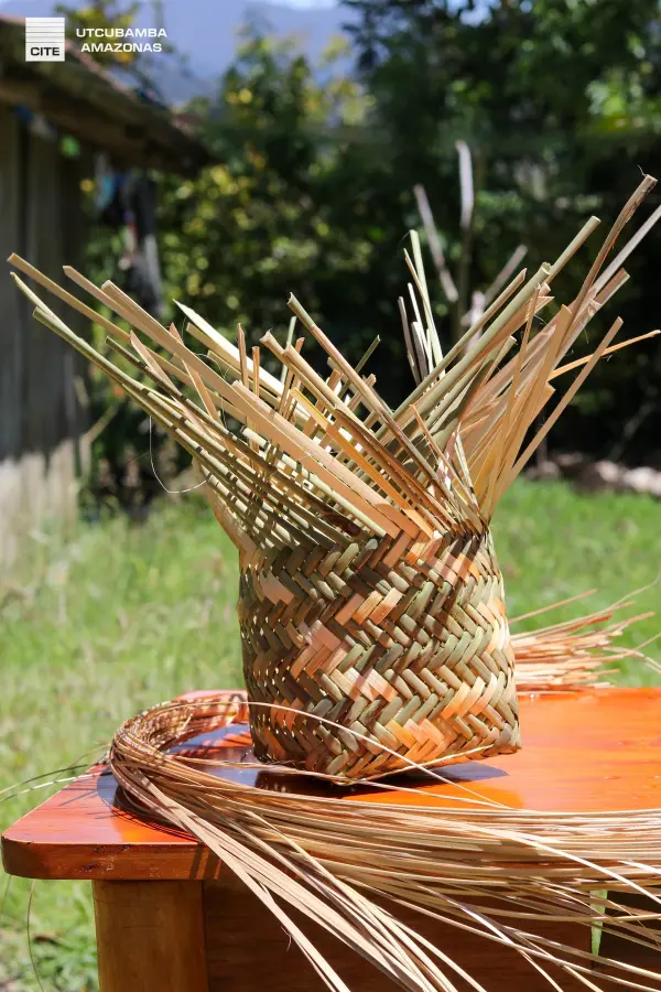 Pablo Chávez Cruz - Imagen 7