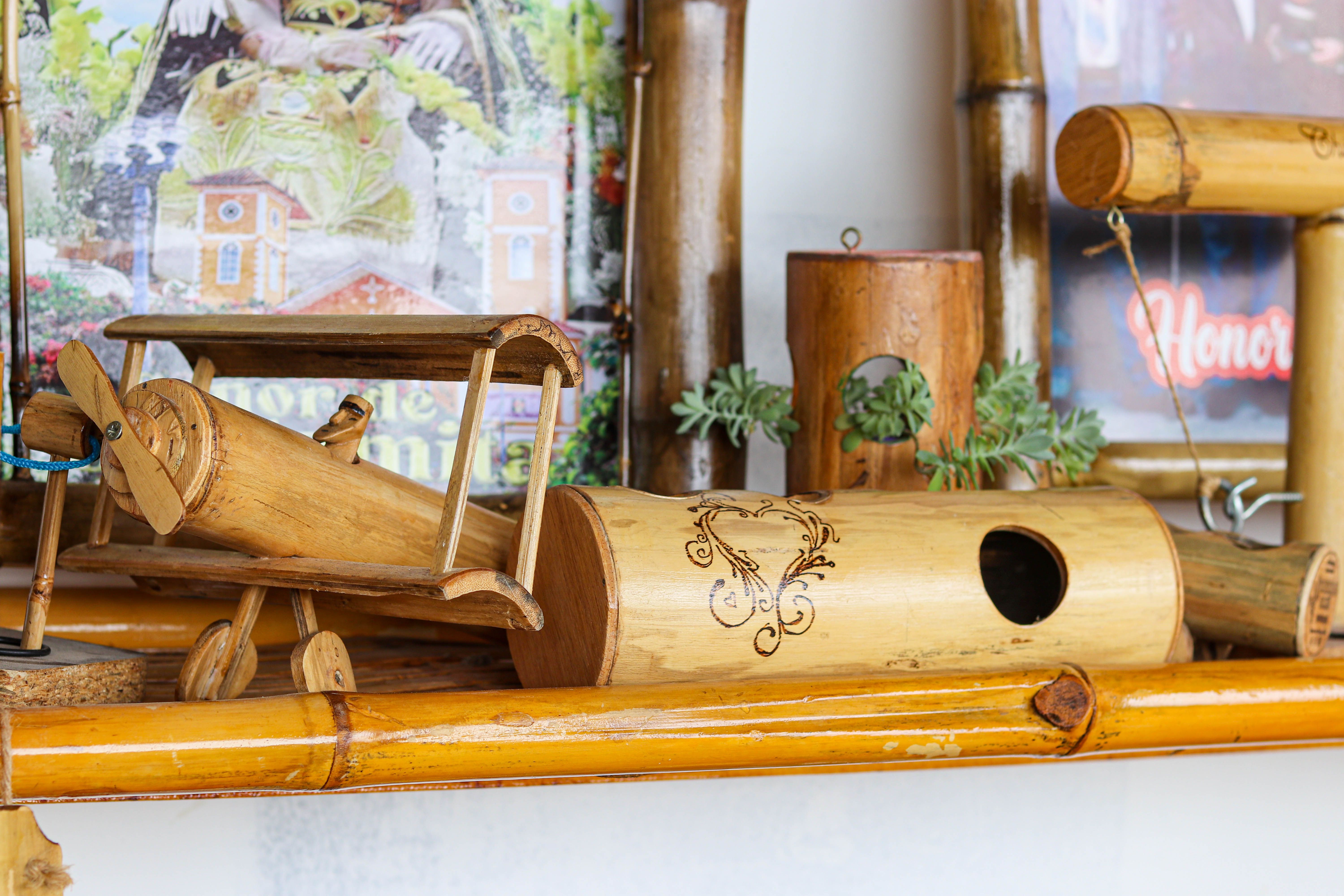 Humberto Servan Santillan - Imagen 11