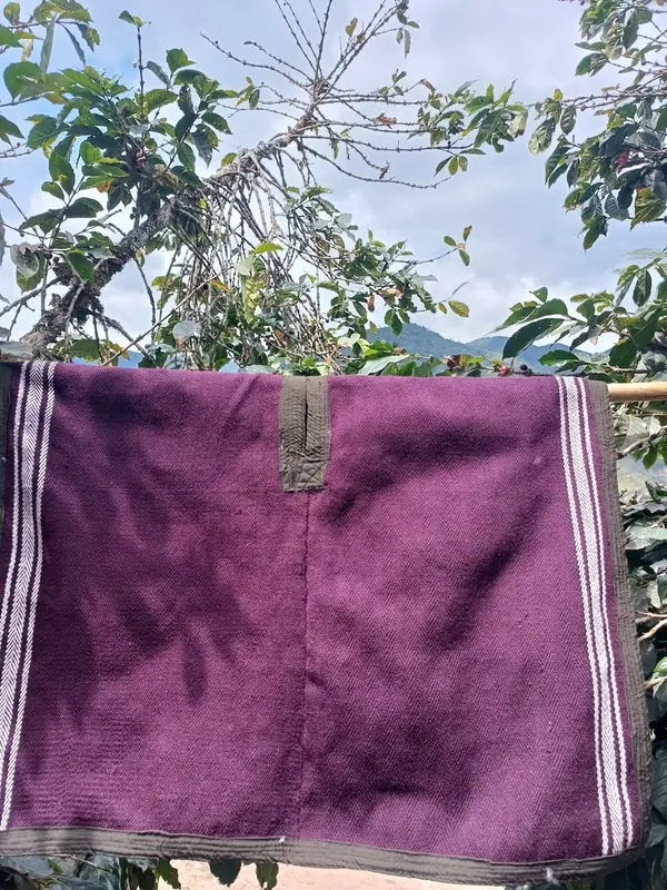 Asociación Agropecuaria y Artesanal Virgen de Natividad - Imagen 1