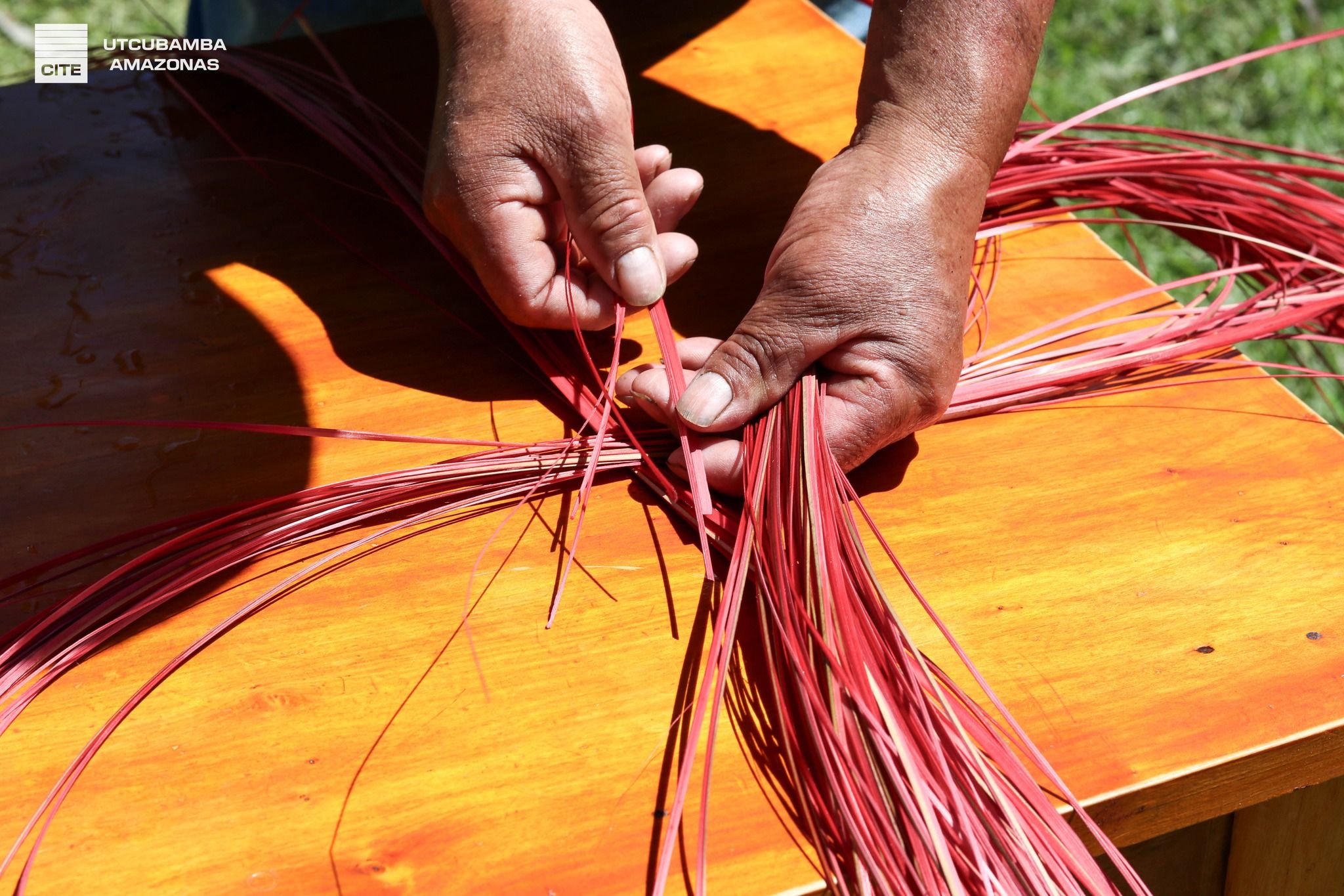 Pablo Chávez Cruz - Imagen 3