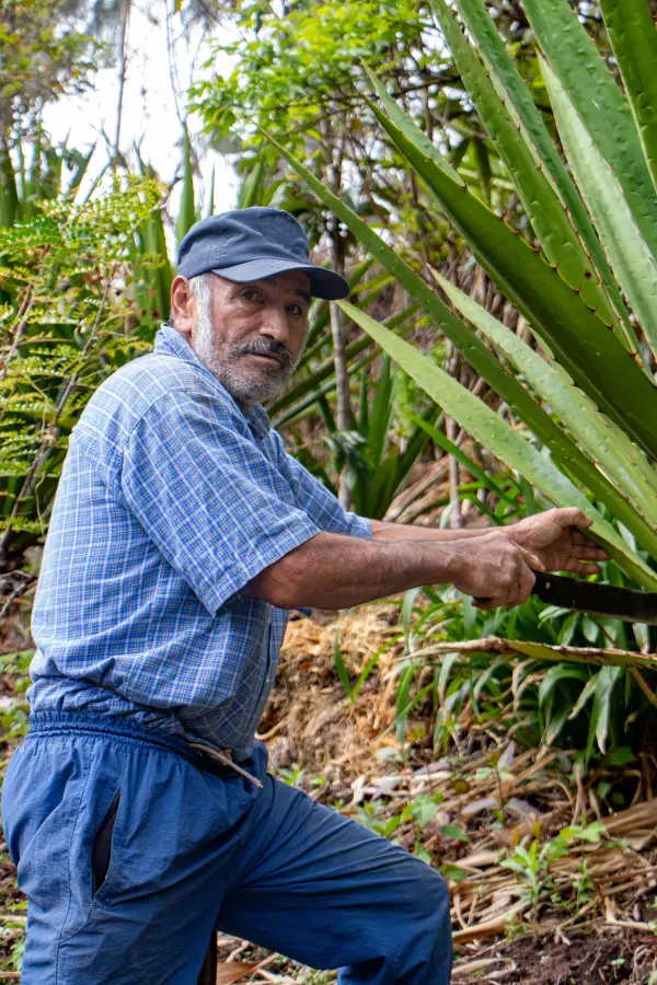 Asociación de artesanía “La Flor del Maguey” - Imagen 3
