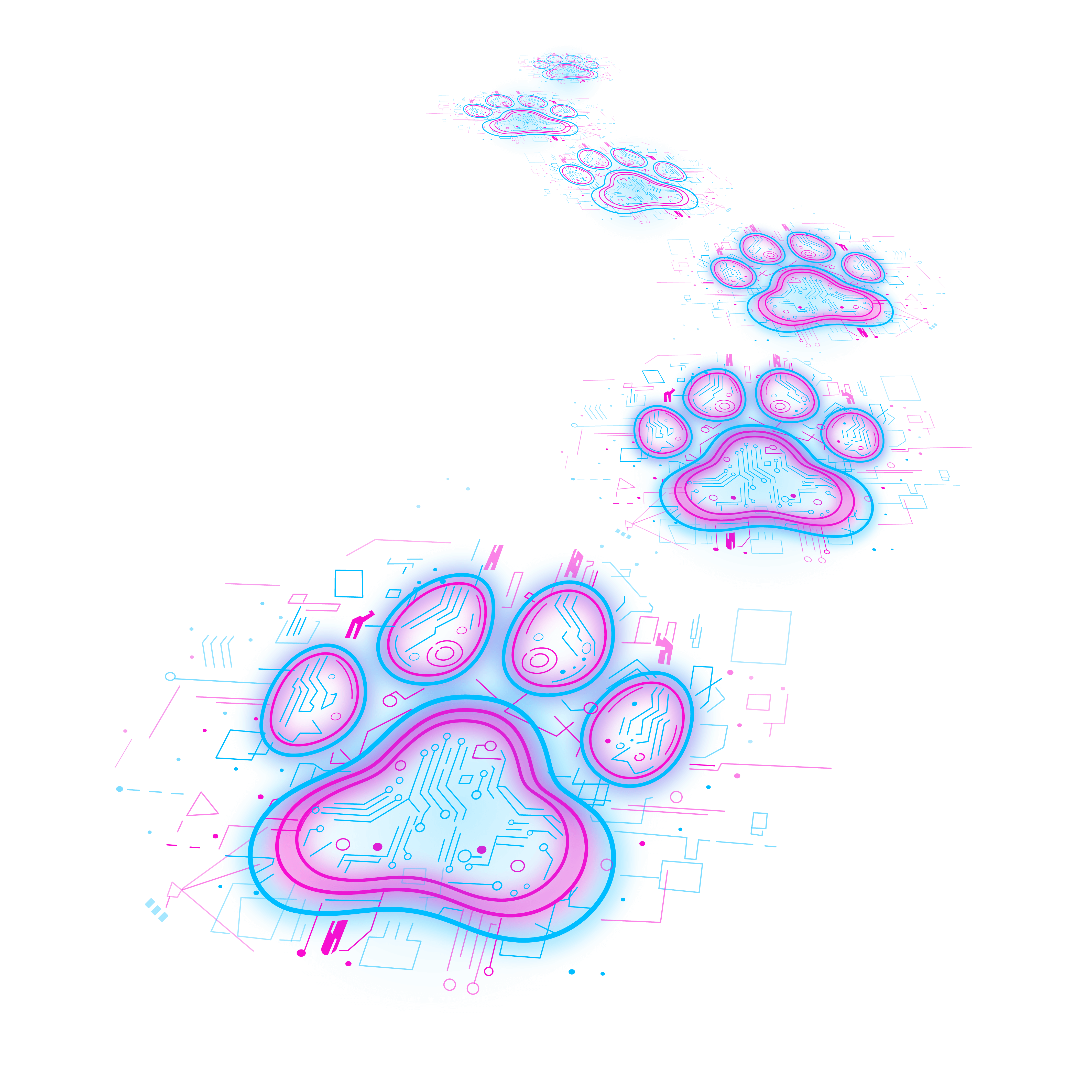 Stylised cheetah paw prints trailing into the distance, symbolising zeroShadow’s journey.