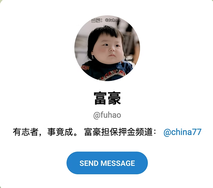 Screenshot of a Telegram profile for user "@fuhao" featuring a baby profile and Chinese text, with a “Send Message” button below.