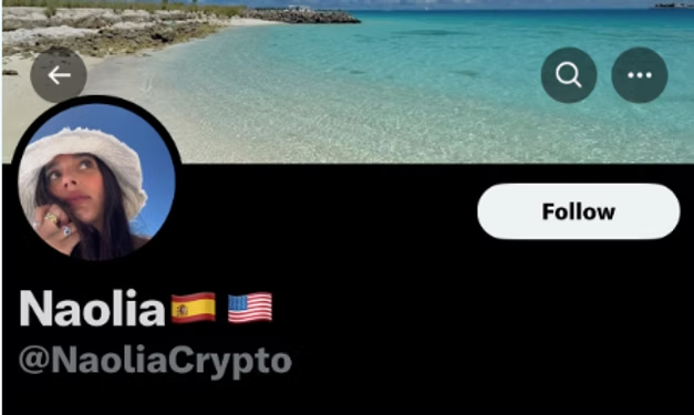 Screenshot of an X (Twitter) profile named “Naolia” with a beach background banner and the handle @NaoliaCrypto.
