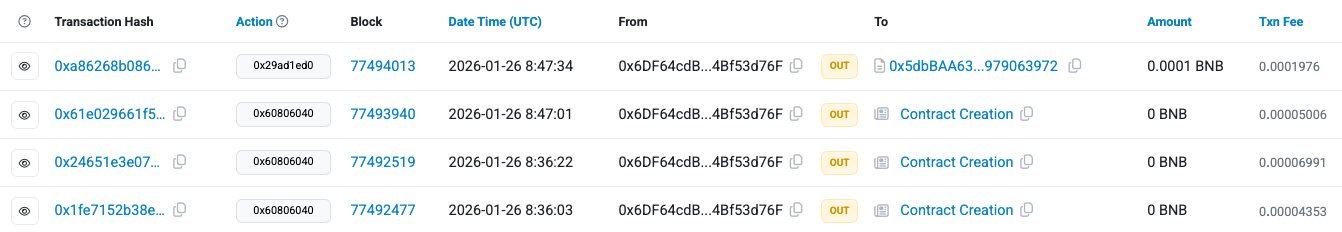 Screenshot from BscScan