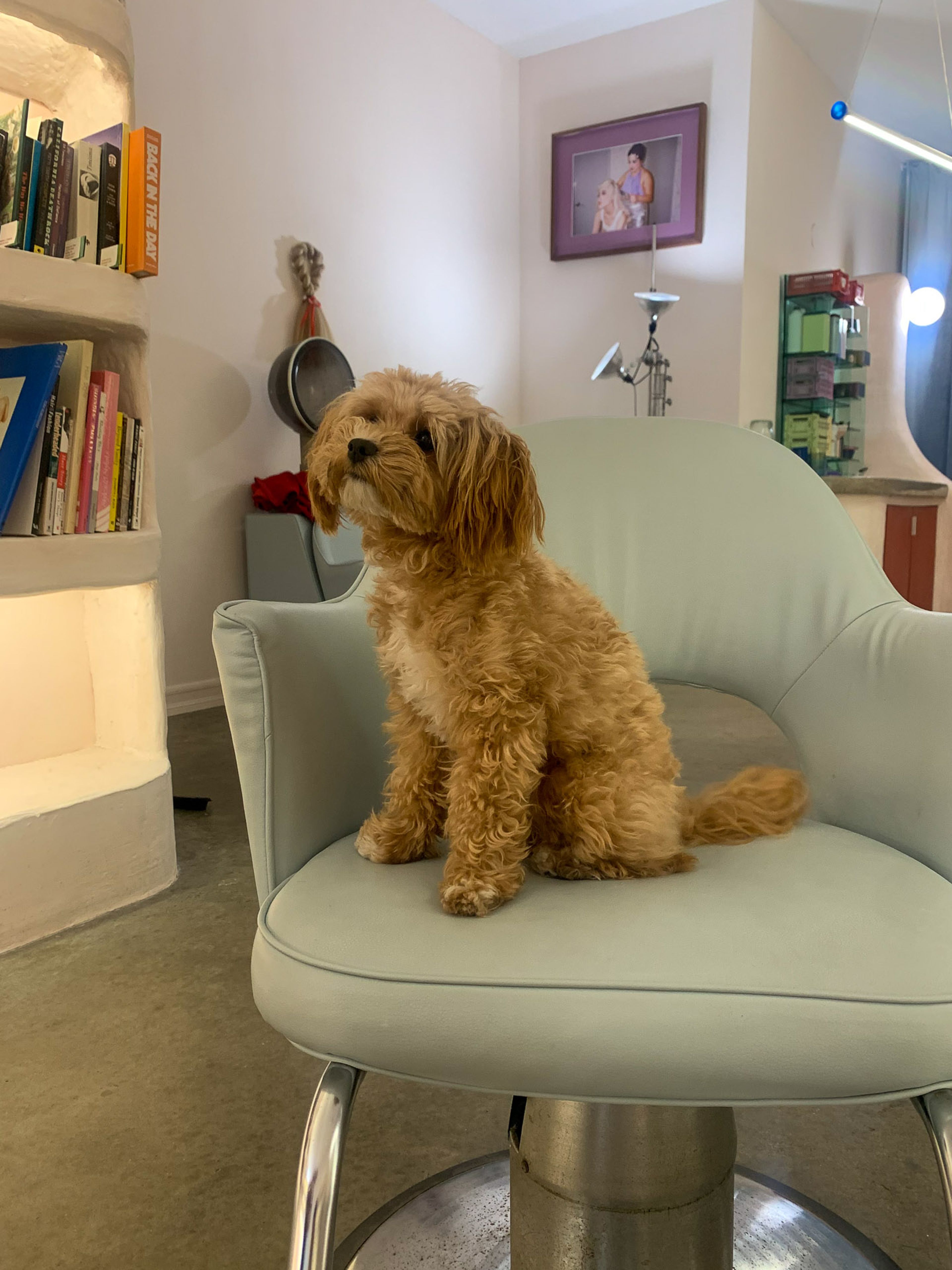 Photo from Free Breakup Bangs @ Salon