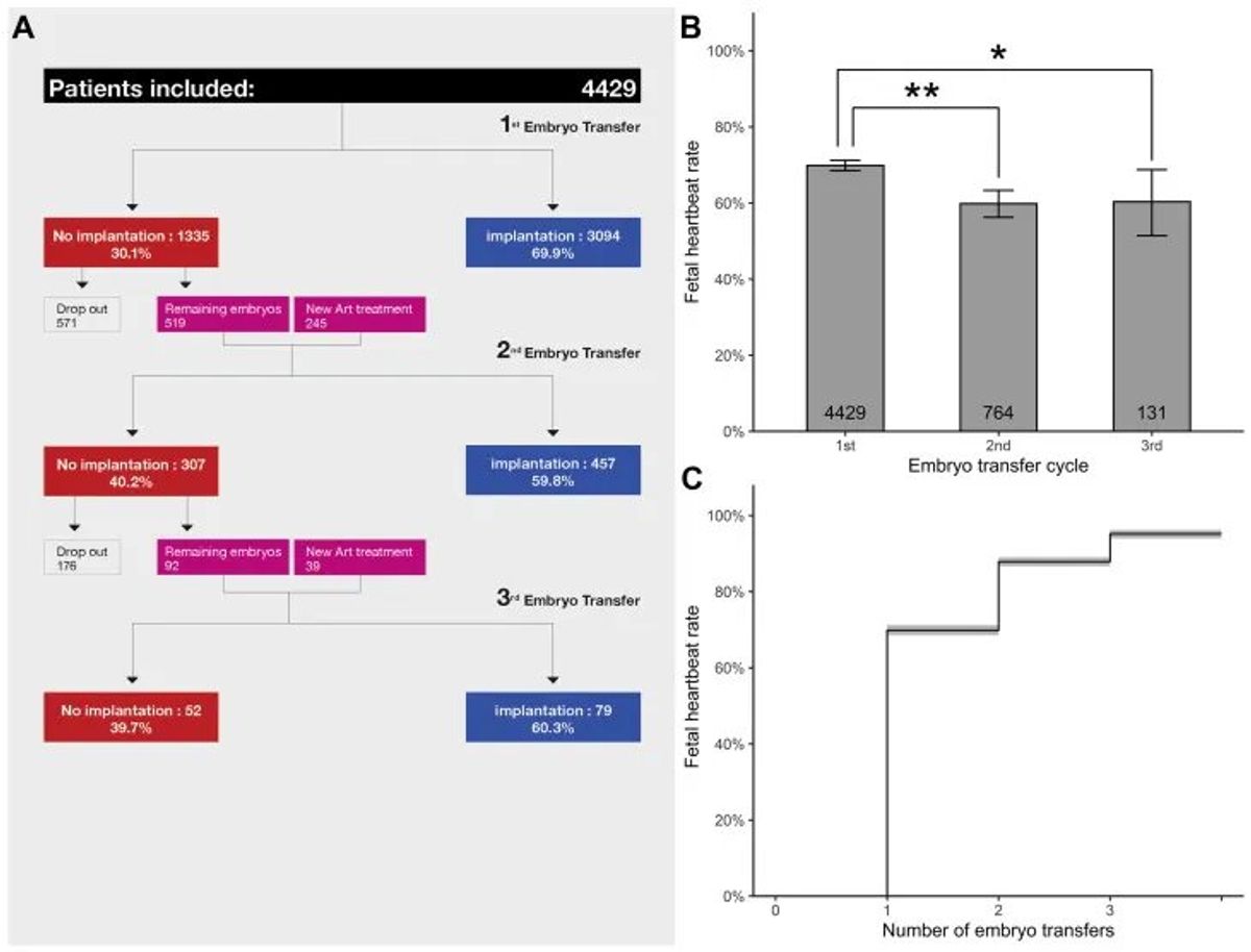 Live birth after three successive euploid transfers, 92.6%. Source: Fertility and Sterility, 2021.