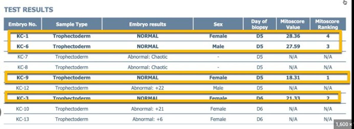 A euploid result on a PGT-A report.