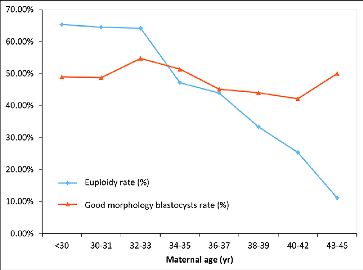 See, your bastocysts may still be graded nicely as you age. That bit doesn’t change too much. They still look