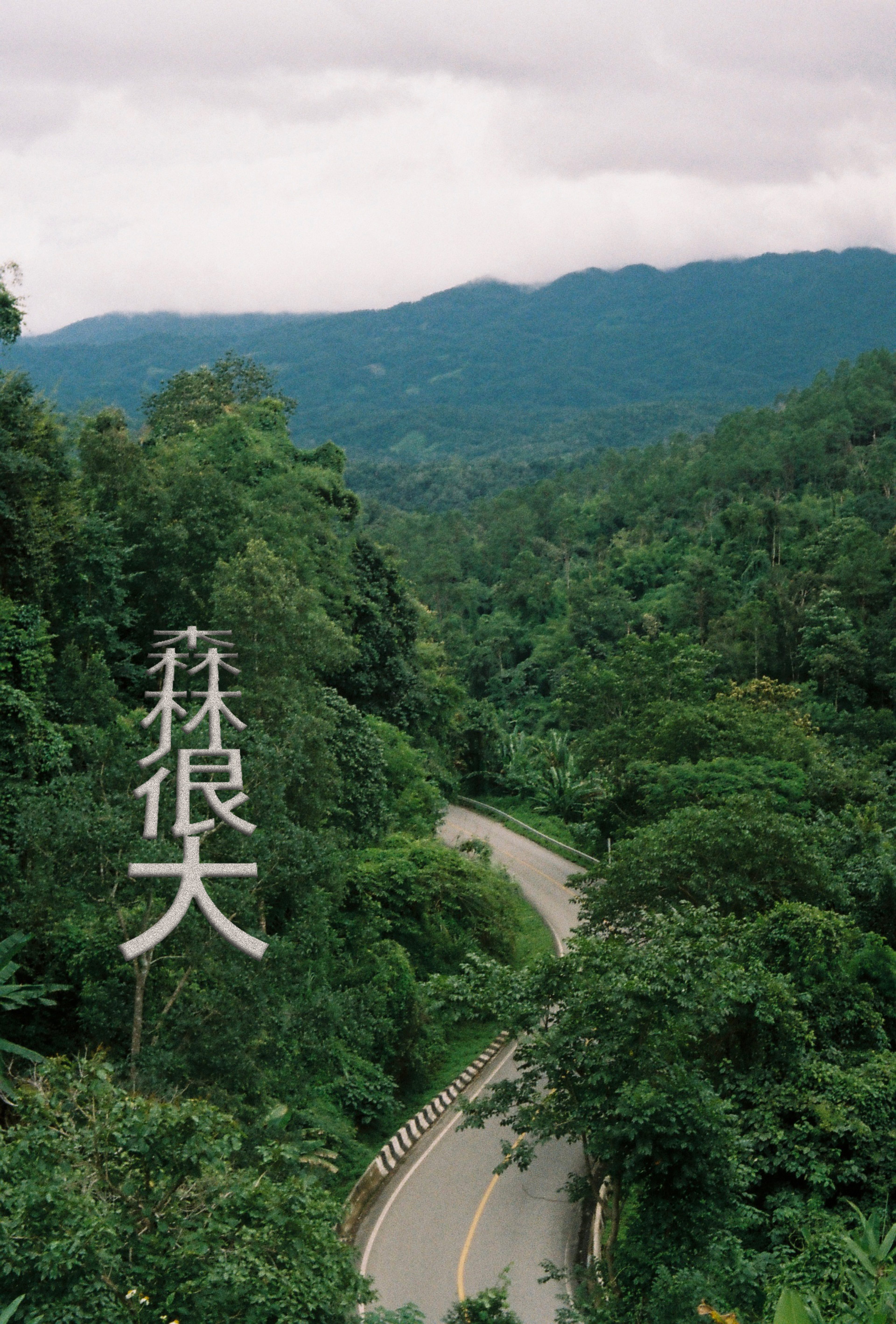 picture of a winding road in a forest with Chinese characters written into it