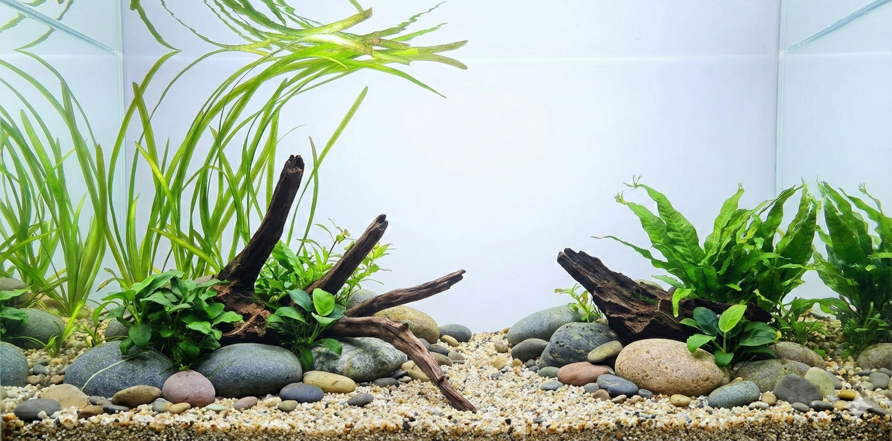 A wide, seamless panoramic background image of a planted aquarium aquascape featuring a riverbed design with smooth river stones, fine gravel, driftwood pieces, and clusters of Vallisneria, Anubias, and Java Fern. The water column is clear, with no fish or equipment visible.