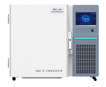 DW-HL110V