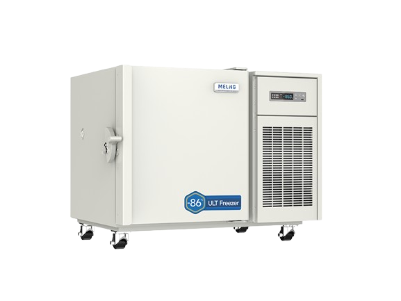 DW-HL100