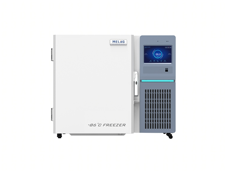 DW-HL110V