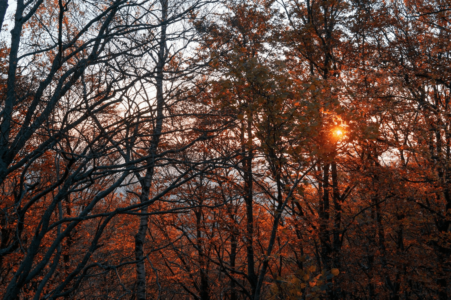 Combattre la dépression saisonnière par l'alimentation (ce n'est pas ce que vous croyez!)