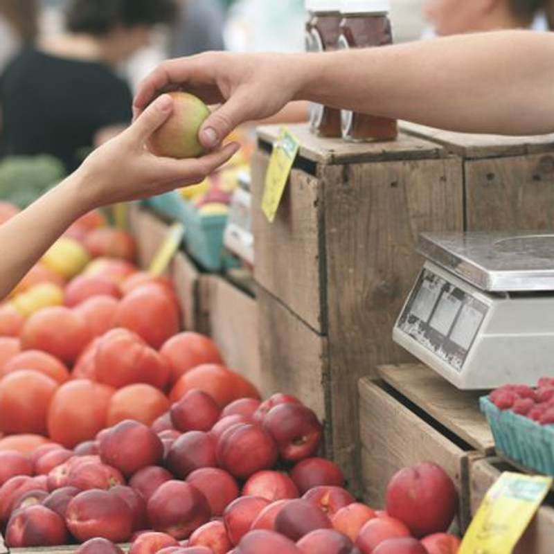 Bien manger à Mascouche : nutrition en famille, de la collation au souper du soir