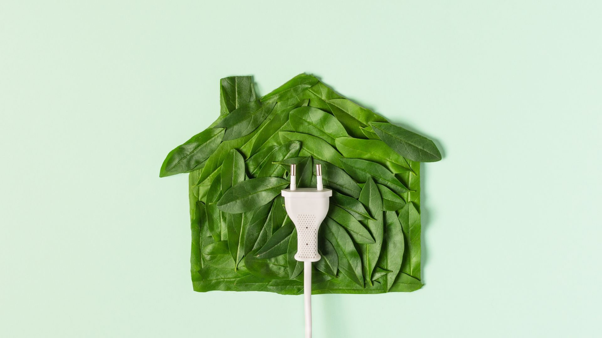 Green Luxury: Building Sustainable Custom Homes in Florida