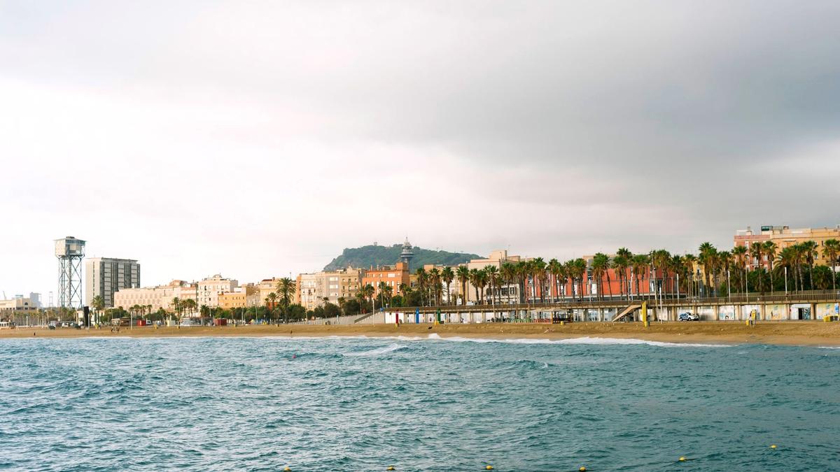 The palm-lined Barceloneta beach and promenade at sunset in Barcelona