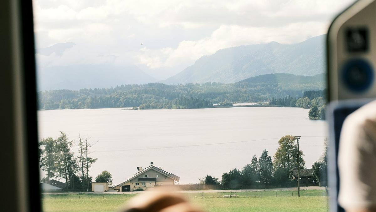 A regional train winding through green countryside seen from the window