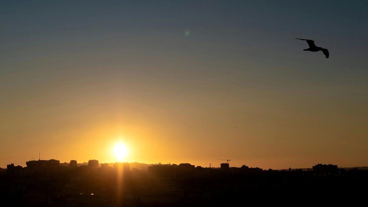 Sunset over Lisbon's tiled rooftops seen from a hilltop miradouro viewpoint