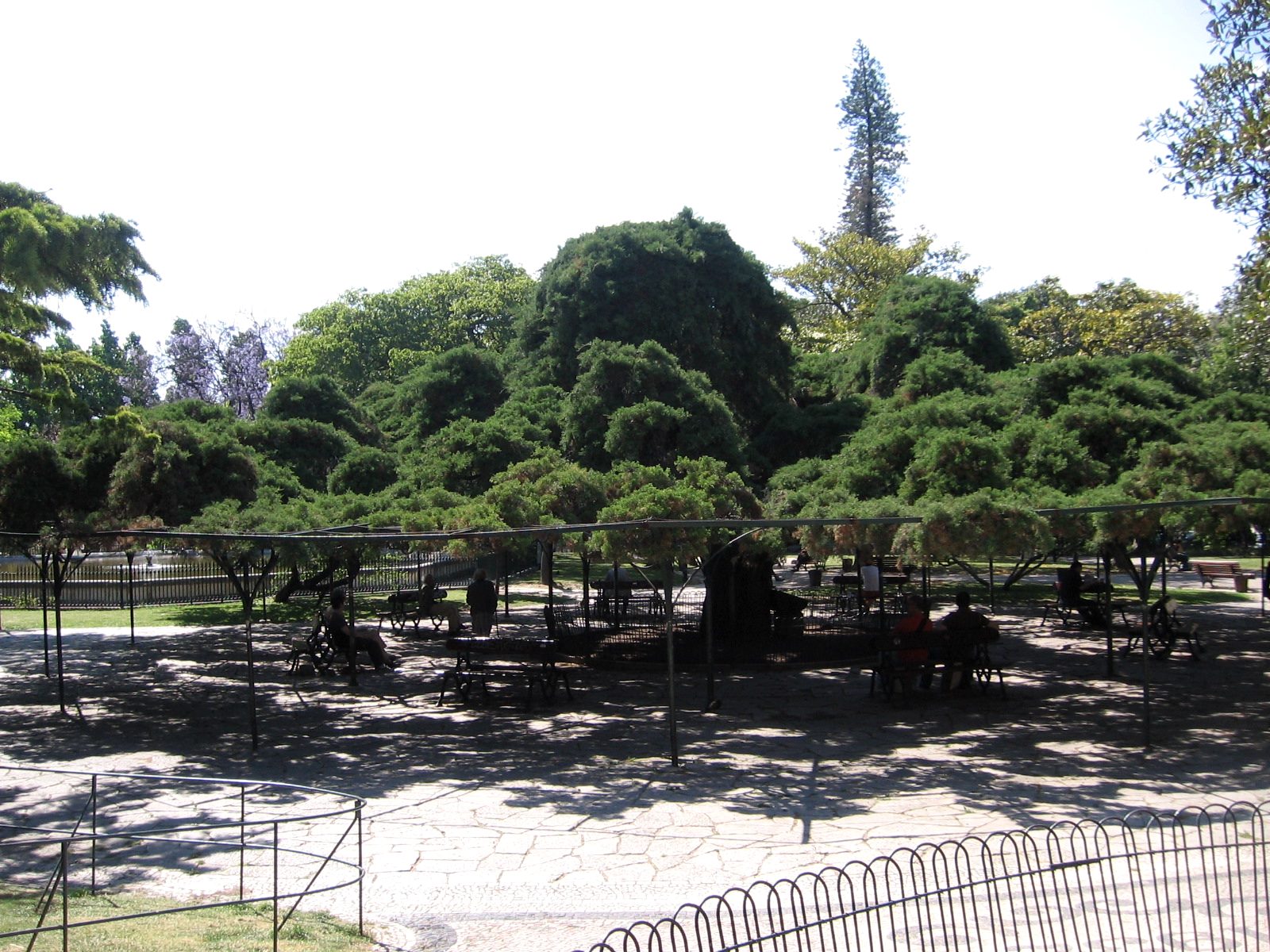 A leafy garden square lined with cafés in Lisbon's Príncipe Real neighborhood