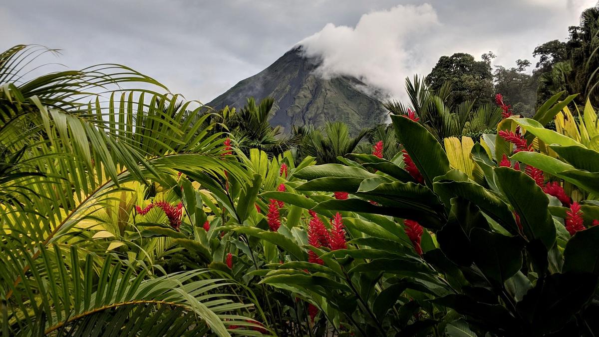 Steam rising off a volcano-warmed hot-spring river in the rainforest near Arenal, Costa Rica