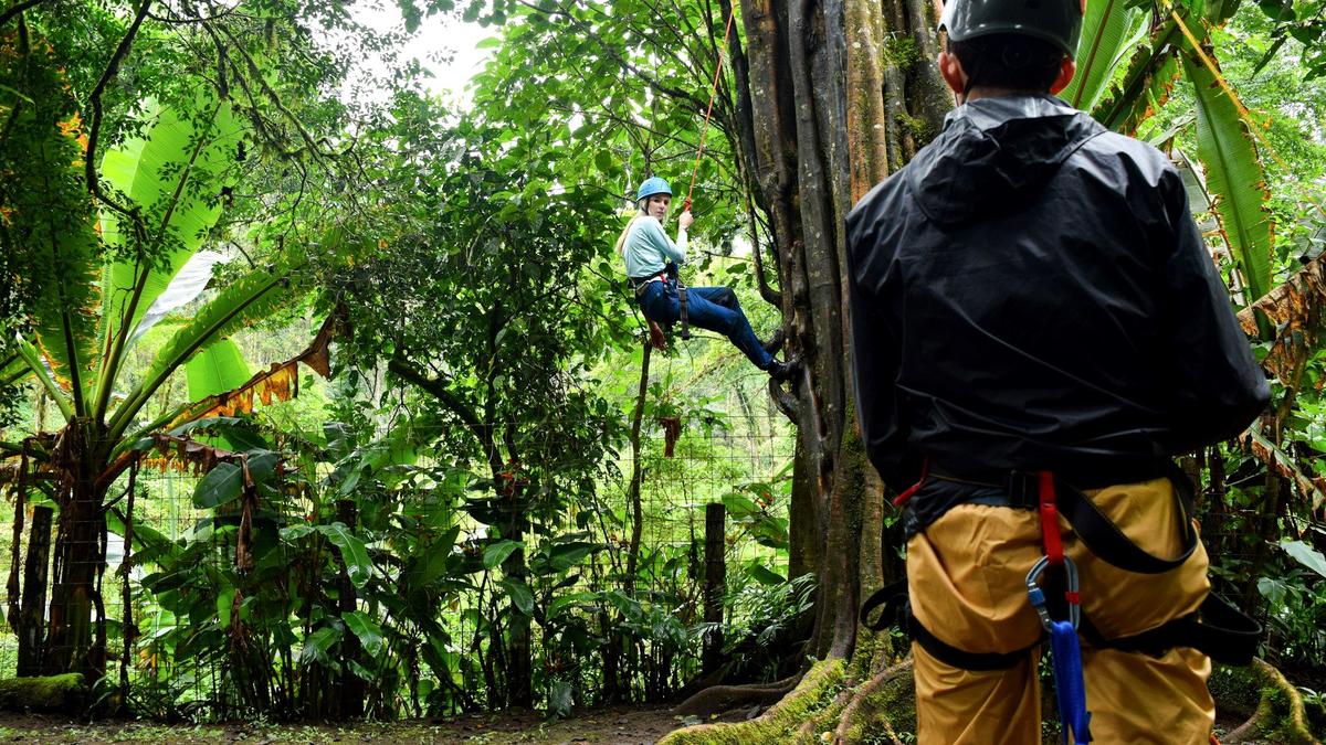 A traveler zip-lining over the rainforest canopy in Costa Rica