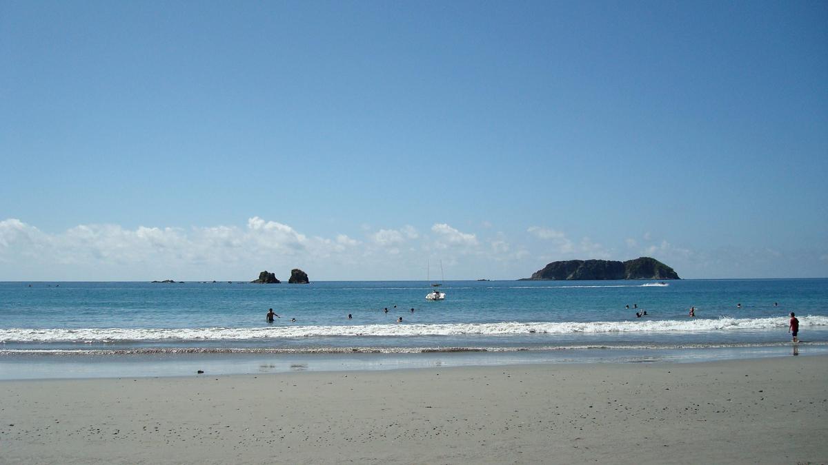 A palm-fringed beach at Manuel Antonio on Costa Rica's Pacific coast